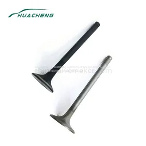 Diesel Parts Engine Valve for HOWO thumbnail-1