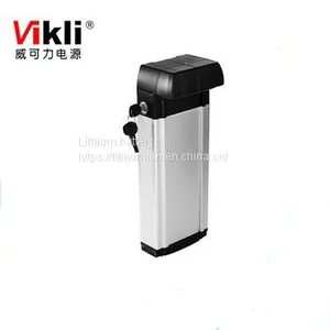 Customized LiFePO4 Battery 24V Lithium Ion 50Ah/100Ah/150Ah/200Ah Battery thumbnail-4