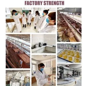 Jiejing Free Sample Industrial Adsorbent Activated Bleaching Earth Bentonite Clay for Industrial Oil Decoloration thumbnail-4