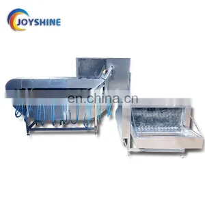 Small Scale 300 Chicken per Hour Automatic Multifunction Poultry Slaughterhouse Equipment thumbnail-7