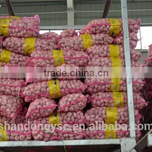 Factory Price Chinese Natural Red Garlic(normal White Garlic, Purple Garlic, White Garlic) thumbnail-3