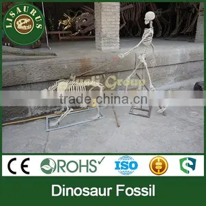 Lisaurus-C-Nice Dinosaur Skeleton Fossil thumbnail-2