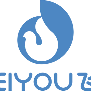 Feiyou toys