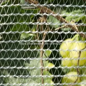 Batawa HDPE Agricultural Anti Hail Netting Orchard Tree Hail Protection Net With UV Resistance thumbnail-1