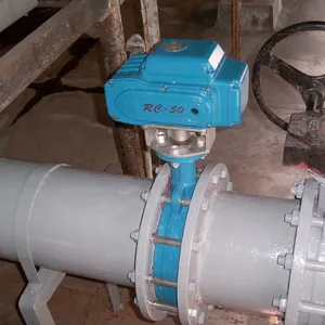 Electric Motorized Wafer Butterfly Valve PN16 Cast Ductile Iron Body CF8 Plate Disc Wafer Type Butterfly Valve thumbnail-6