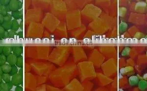 Vegetable And Fruit Mixer/ Vegetable Mixer thumbnail-3