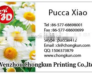 2015 New Products 3D Lenticular Tourist Souvenir Fridge Magnet thumbnail-6