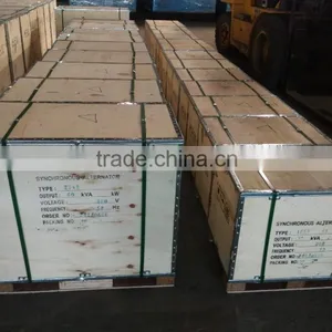 AC Single Phase Output Type 3kva ST STC BRUSH ALTERNATOR thumbnail-3