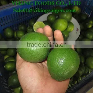 FROZEN SEEDLESS LIME _ HIGHT QUALITY _ GOOD PRICE thumbnail-3