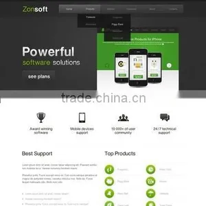 Software Development Custom thumbnail-2