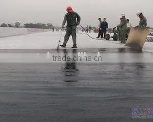 2mm/3mm/4mm High Quality SBS Modified Bitumen Waterproof Membrane For Building Roofing/construction thumbnail-3