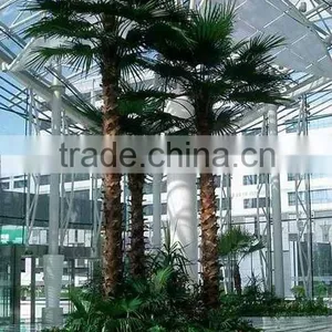 Artificial Palm Tree Artificial Coconut Tree thumbnail-1