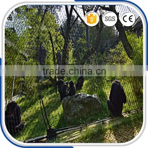 High Strength Customized Stainless Steel Animal Enclosure Zoo Mesh thumbnail-5