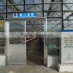 Commercial -Agricultural Polycarbonate Greenhouse thumbnail-3