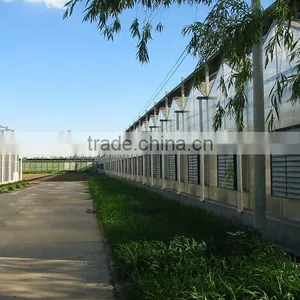 Polycarbonate Sheet Greenhouse thumbnail-2