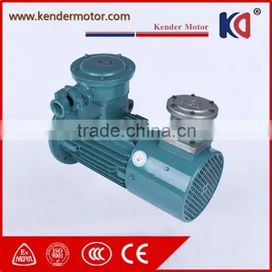Hot Sale Anynchronous AC Electric Motor With Large Machine thumbnail-6