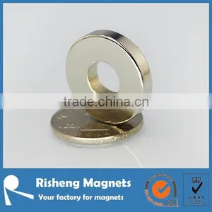 Rare Earth Permanent Multipoles Magnet Ring Suppler thumbnail-1
