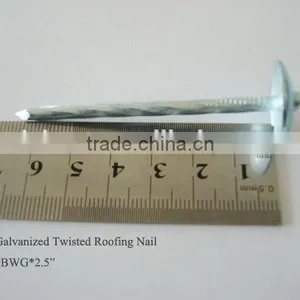 2.5inch Twistgalvanized Twist Shank Roofing Nail With Umbrella Head thumbnail-1