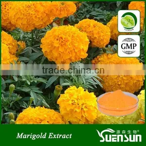 100% Natural Marigold Flower Extract Lutein Marigold Extract 10% thumbnail-1