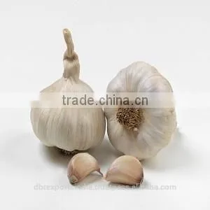 Garlic Oil thumbnail-1