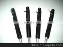 The Original and Genuine D-E-LPHI Common Rail Injector EJBR04601D for SSANGYONG A6650170321 A6650170121 From Beacon thumbnail-1