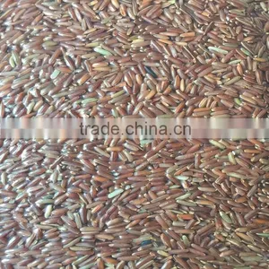 Natural Red Jasmine Rice Organic Grain Rice Healthy Food Good For Health And Beauty Pack in Vacuum Bag By Mae-Mae thumbnail-1