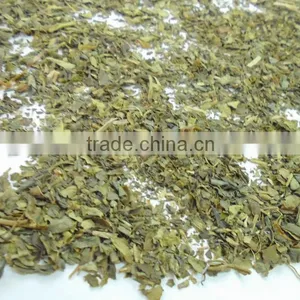 Nice Green Tea - High Quality in Viet Nam thumbnail-1