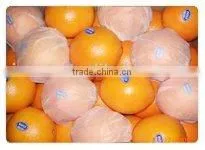 New Crop Navel Orange thumbnail-1