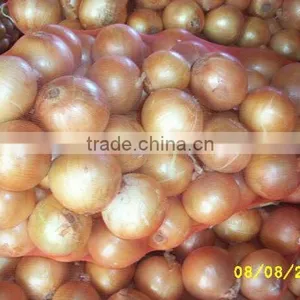 Gold Onion ( Crops 2013) thumbnail-4