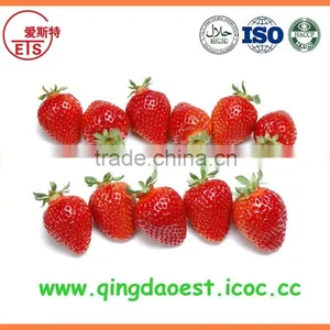 For Sale High Quality Whole Fresh Strawberry thumbnail-5