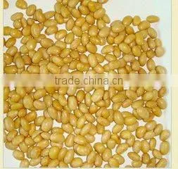 Canned Soybean/ Baked Bean thumbnail-1