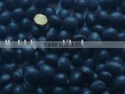 Black Soybean (yellow Inside) thumbnail-1