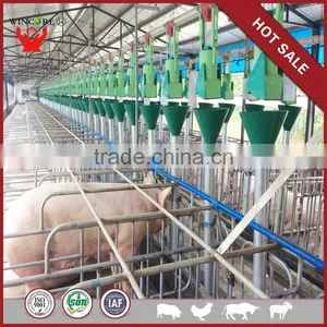 Pig Farming Feeding Equipment Livestock Equipment thumbnail-1