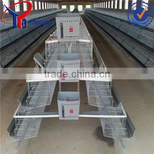 Types of Sheds for Broilers With Floor thumbnail-1