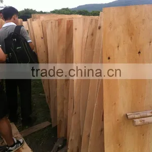 Vietnam Grade A Eucalyptus Core Veneer thumbnail-2