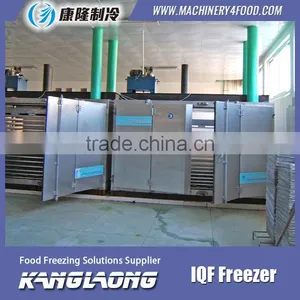 High Quality Mini IQF Freezer With Great Price thumbnail-2