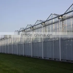 Chengdu BaoLiDa Low Price Polycarbonate Greenhouse pc Sheet Greenhouse thumbnail-2