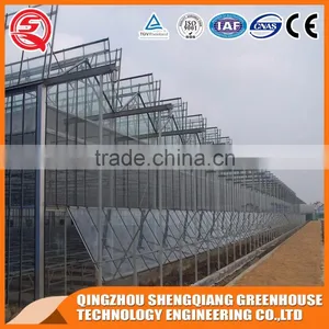 Agriculture Glass Greenhouse With Hot Dip Galvanized Frame thumbnail-3