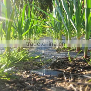 Weed Mat pp Ground Cover thumbnail-6