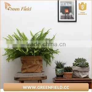 Washable Paper Pots,waterproof Kraft Paper Plant Bag thumbnail-5