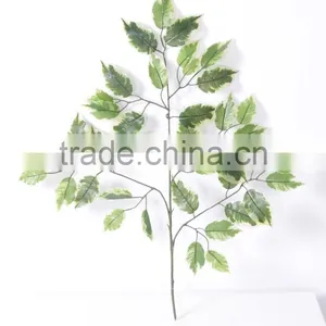 Guangzhou Shengjie Fire Retarant Ficus Leaves/banyan Tree Leaf With Resistence thumbnail-2