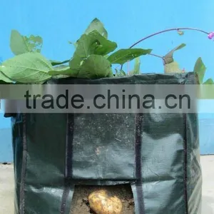 Potato Planting Bag thumbnail-3