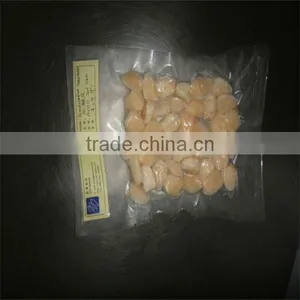 High Quality and Best Frozen Scallop Shells thumbnail-1