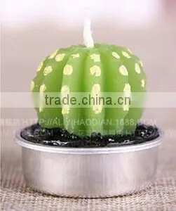 Cactus and Grape Plant Birthday Scented Candle thumbnail-1