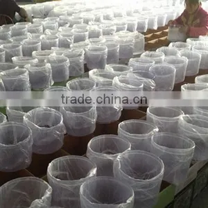 8L Mineral Water Filter Machine Price thumbnail-5