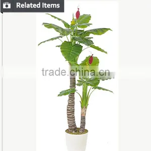 Artificial Decorative Banana Tree Ficus Tree Branch Live Bonsai Tree for Home and Office Decoration thumbnail-5