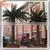 2016 Artificial Date Palm Tree For Swimming Pool Decoration thumbnail-5