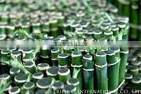 Triple Q International Co.,ltd. company overview - view 1 thumbnail