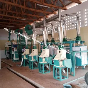 10-30TPD Malawi Maize Milling Machine With Price Best Selling Products in Africa thumbnail-1