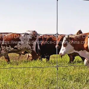 Low Cost and High Quality Fixed Knot Cattle Mesh Fencing thumbnail-1